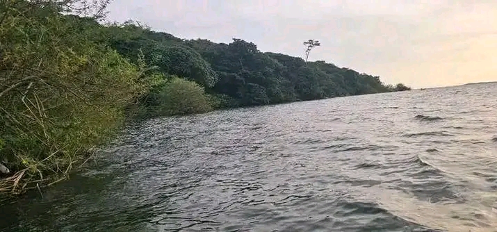 260-Acre Virgin Island in Mukono located in Mukono District, Lake Victoria - Sarah Sanctuary Homes
